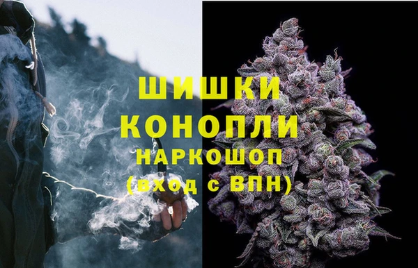 винт Алексин