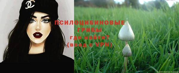 spice Алзамай