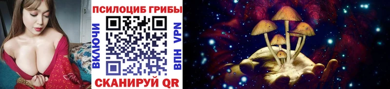 МЕГА ССЫЛКА  Жигулёвск  Псилоцибиновые грибы Psilocybine cubensis  купить наркотик 